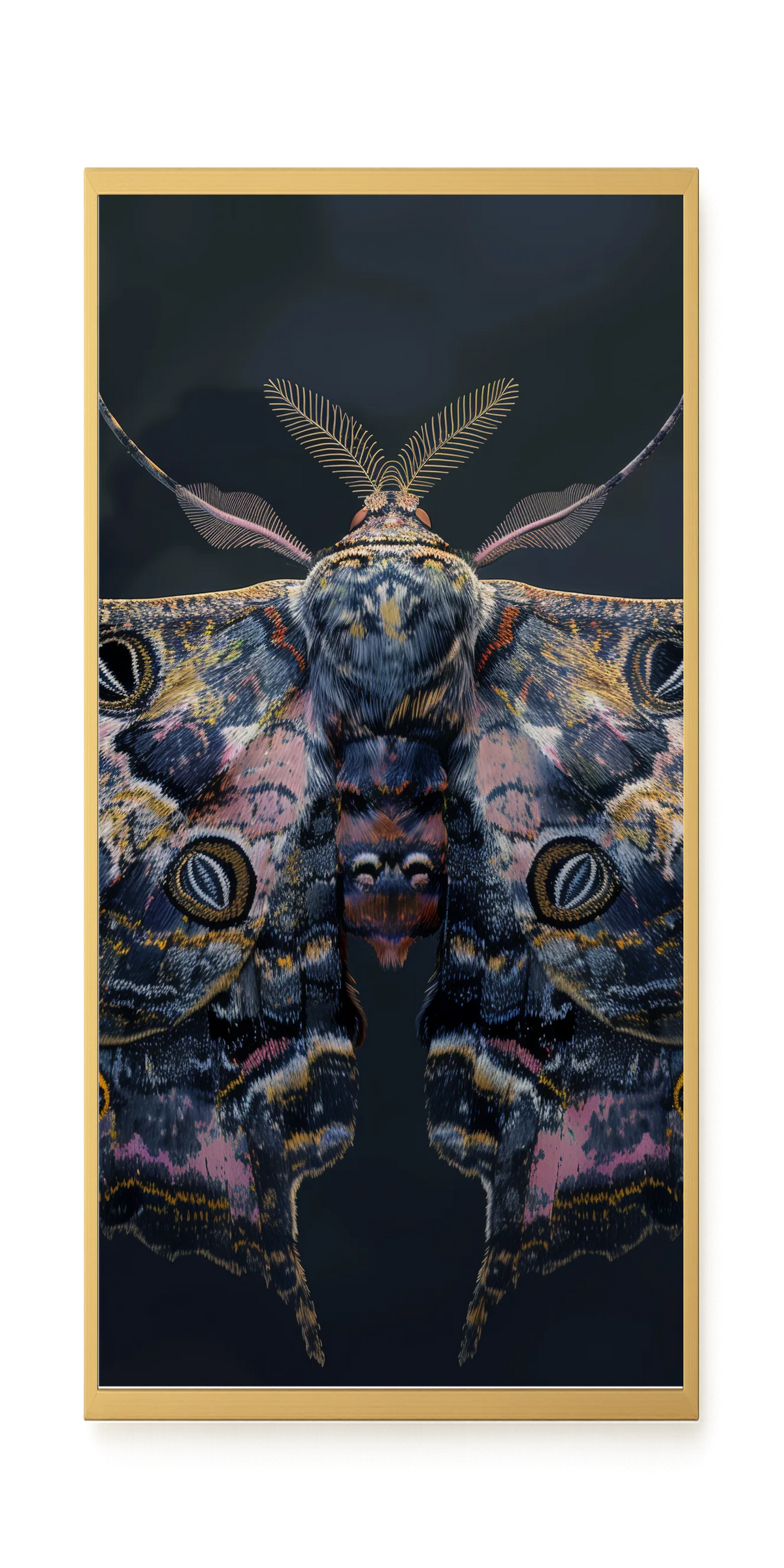 Night Moth Canvas Wall Art