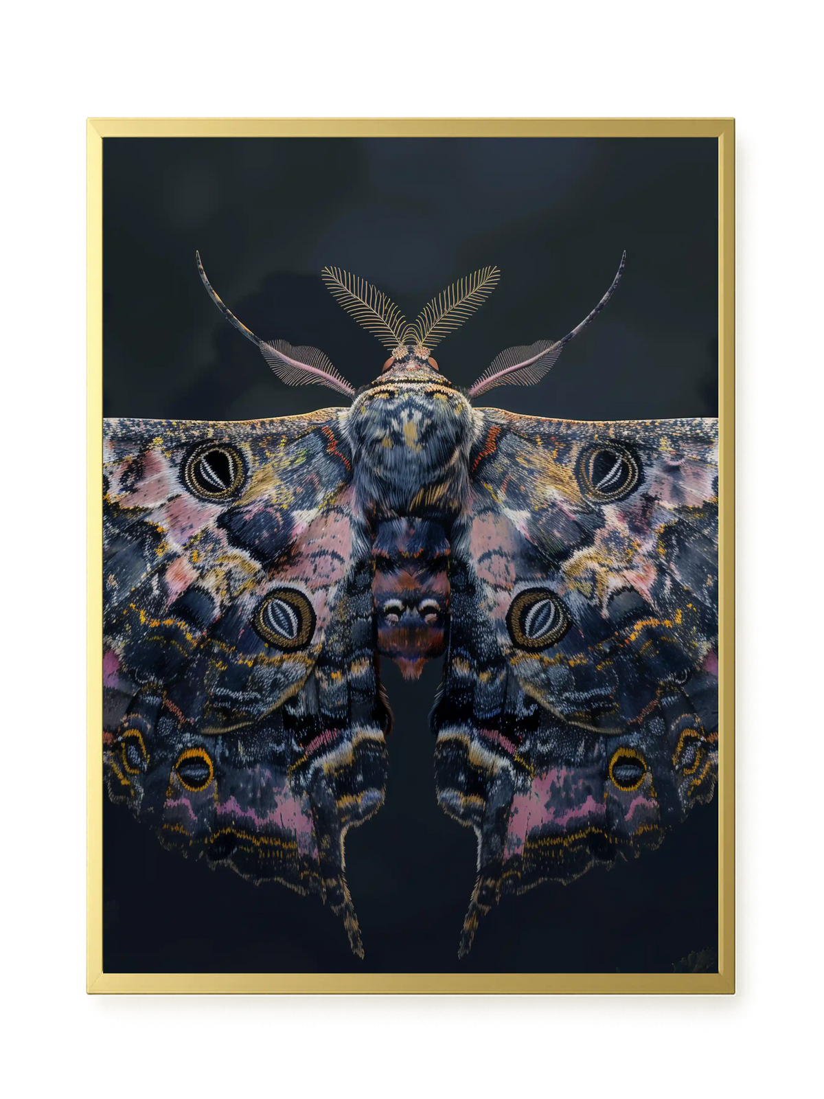 Night Moth Canvas Wall Art