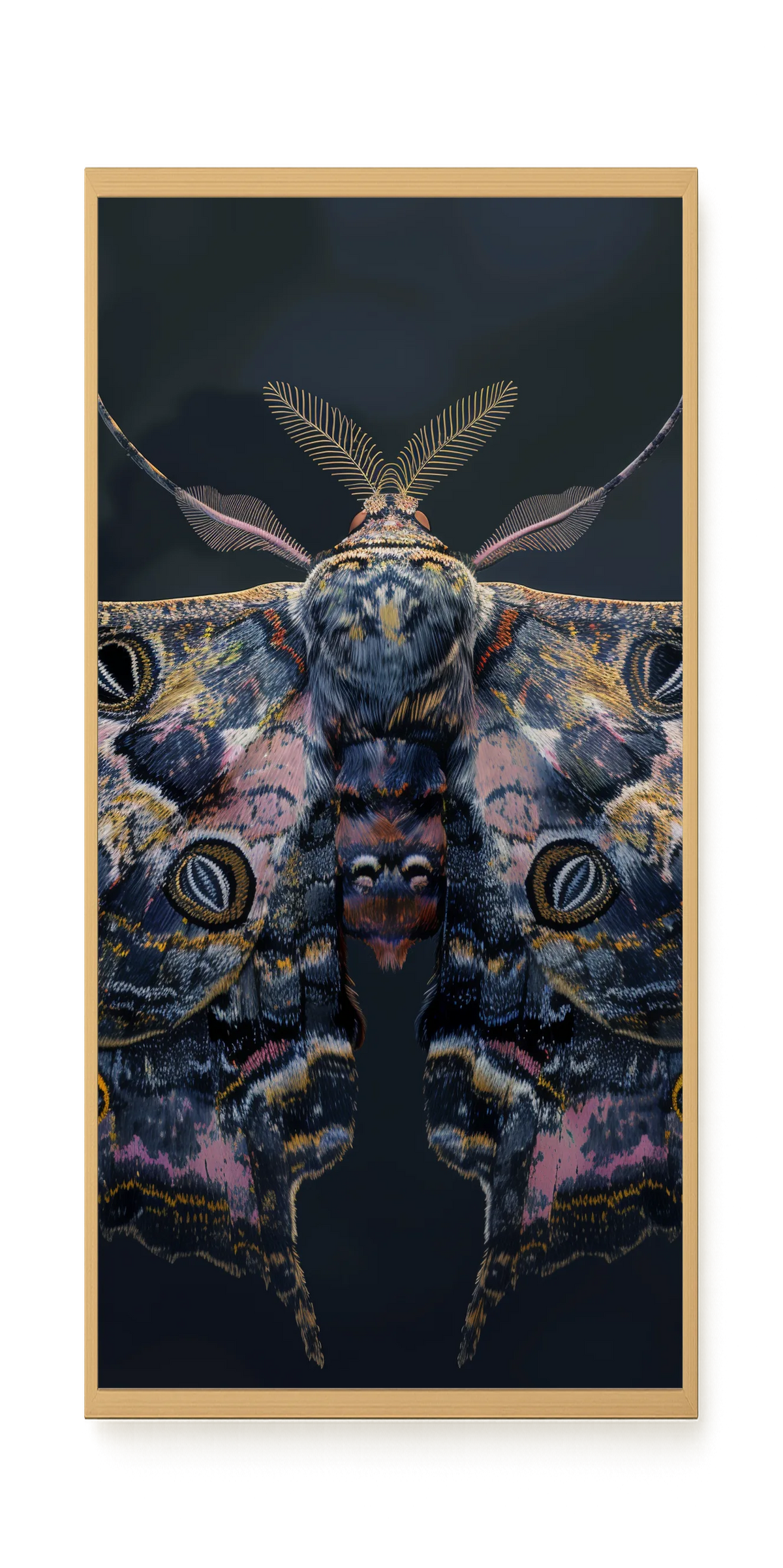 Night Moth Canvas Wall Art