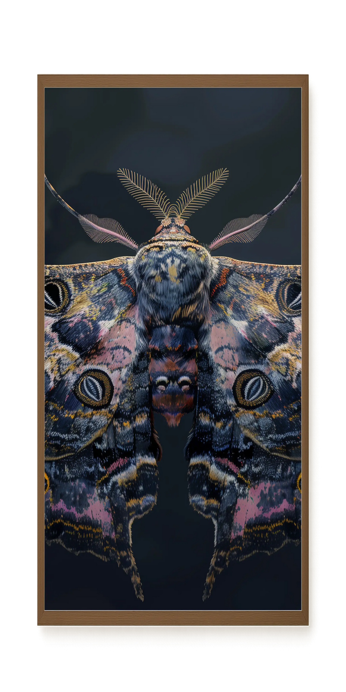 Night Moth Canvas Wall Art