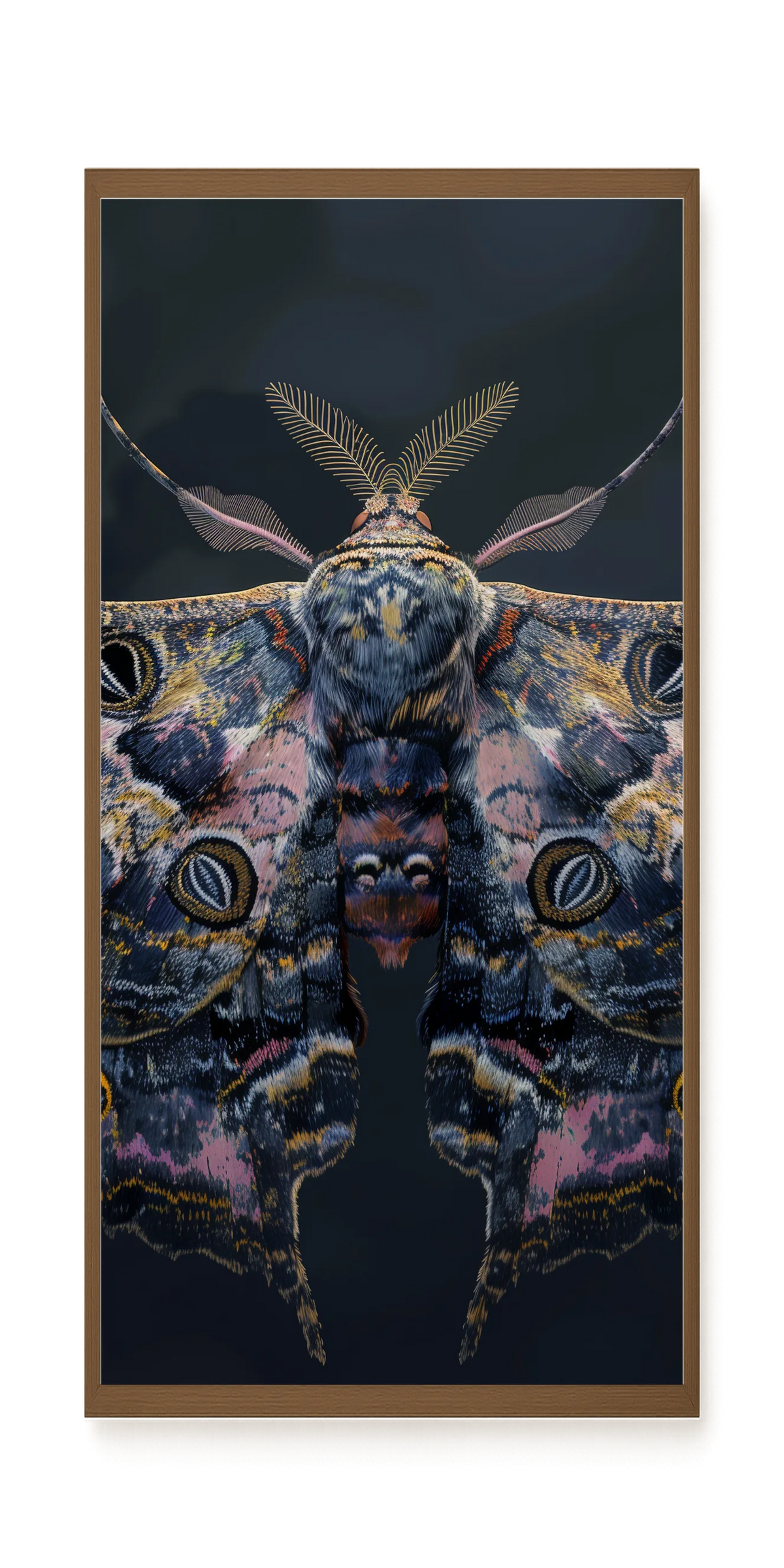 Night Moth Canvas Wall Art