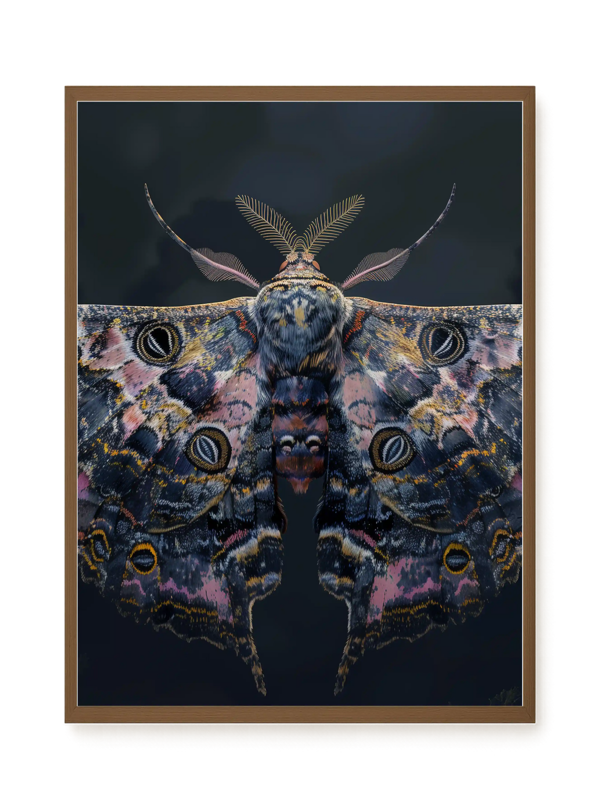 Night Moth Canvas Wall Art