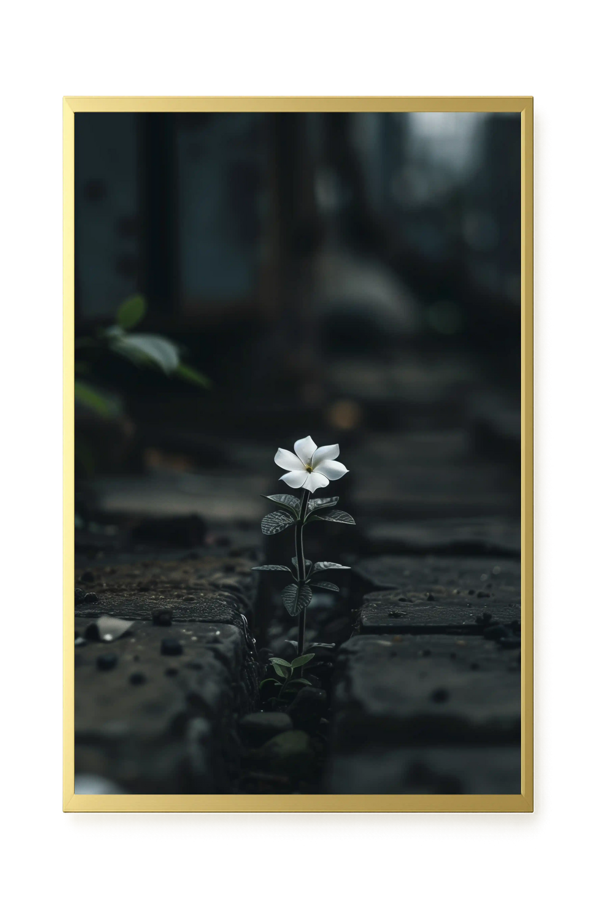 Still Leaves Canvas Print