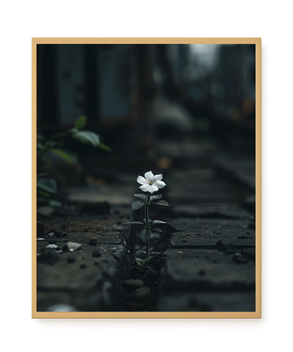 Still Leaves Canvas Print