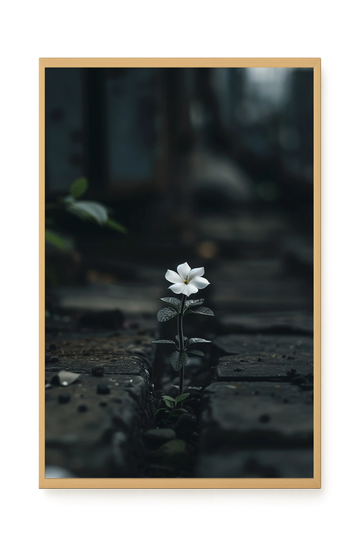 Still Leaves Canvas Print