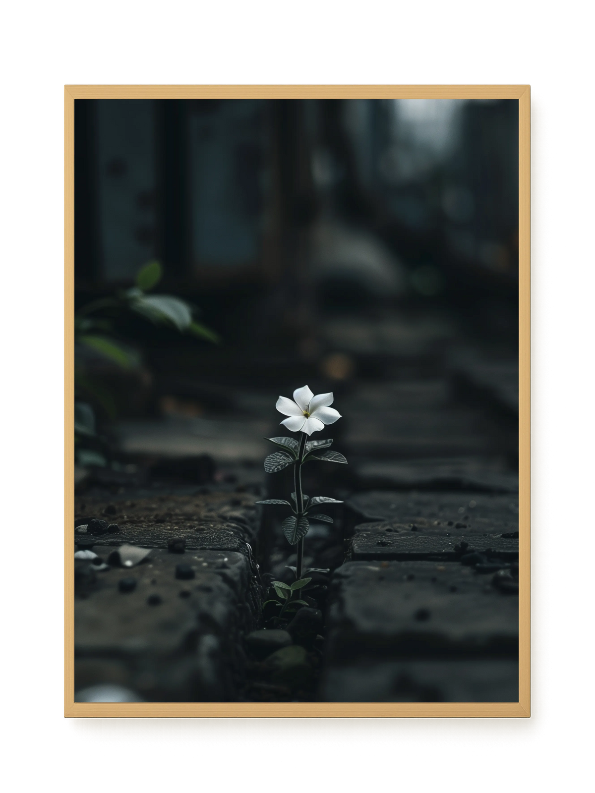 Still Leaves Canvas Print