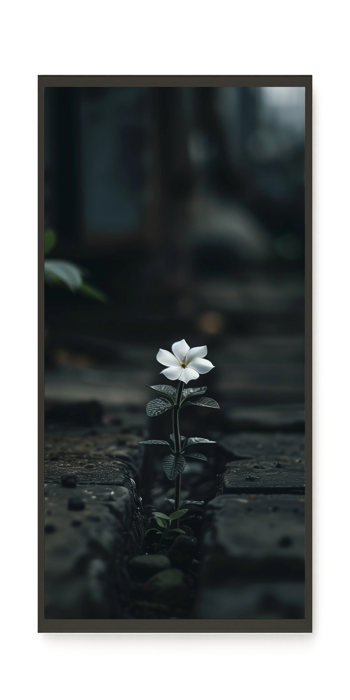 Still Leaves Canvas Print