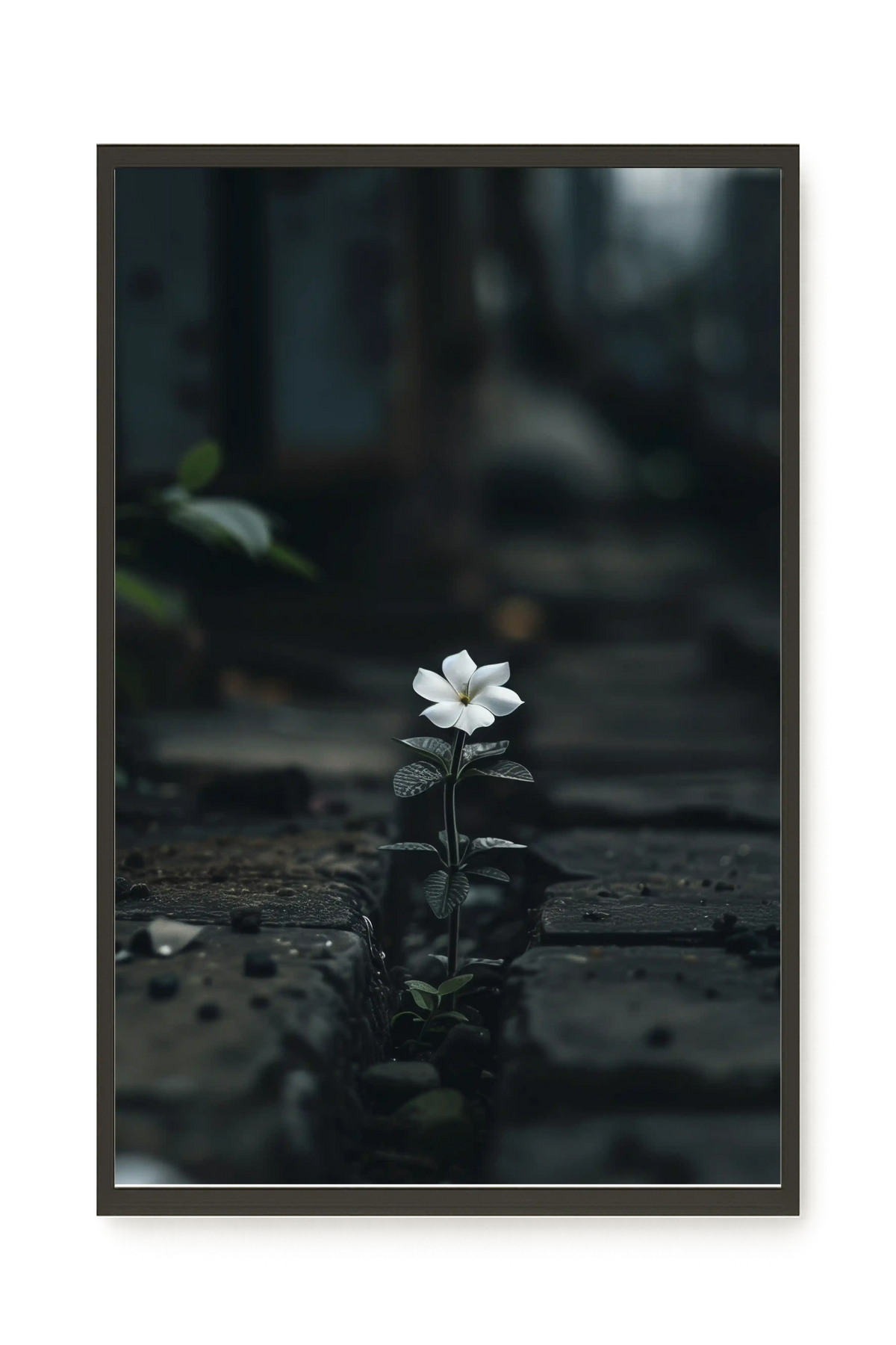 Still Leaves Canvas Print
