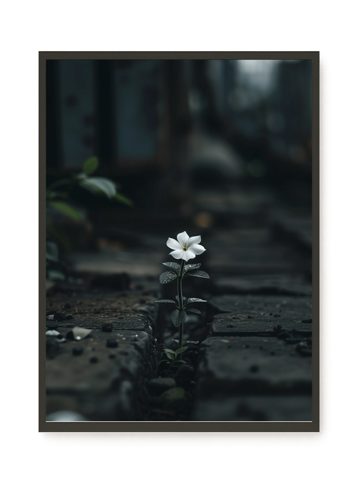 Still Leaves Canvas Print