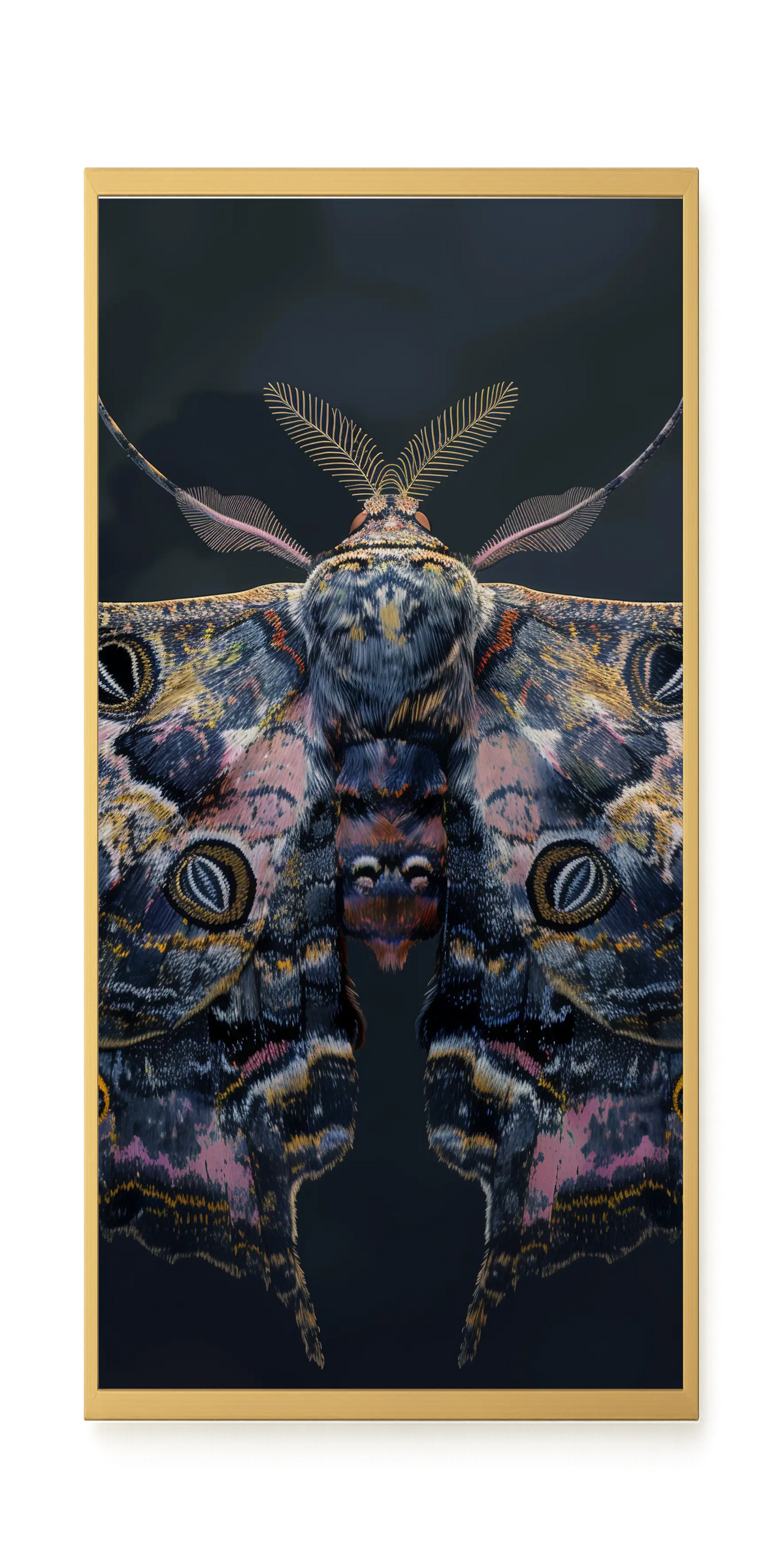 Night Moth Canvas Wall Art