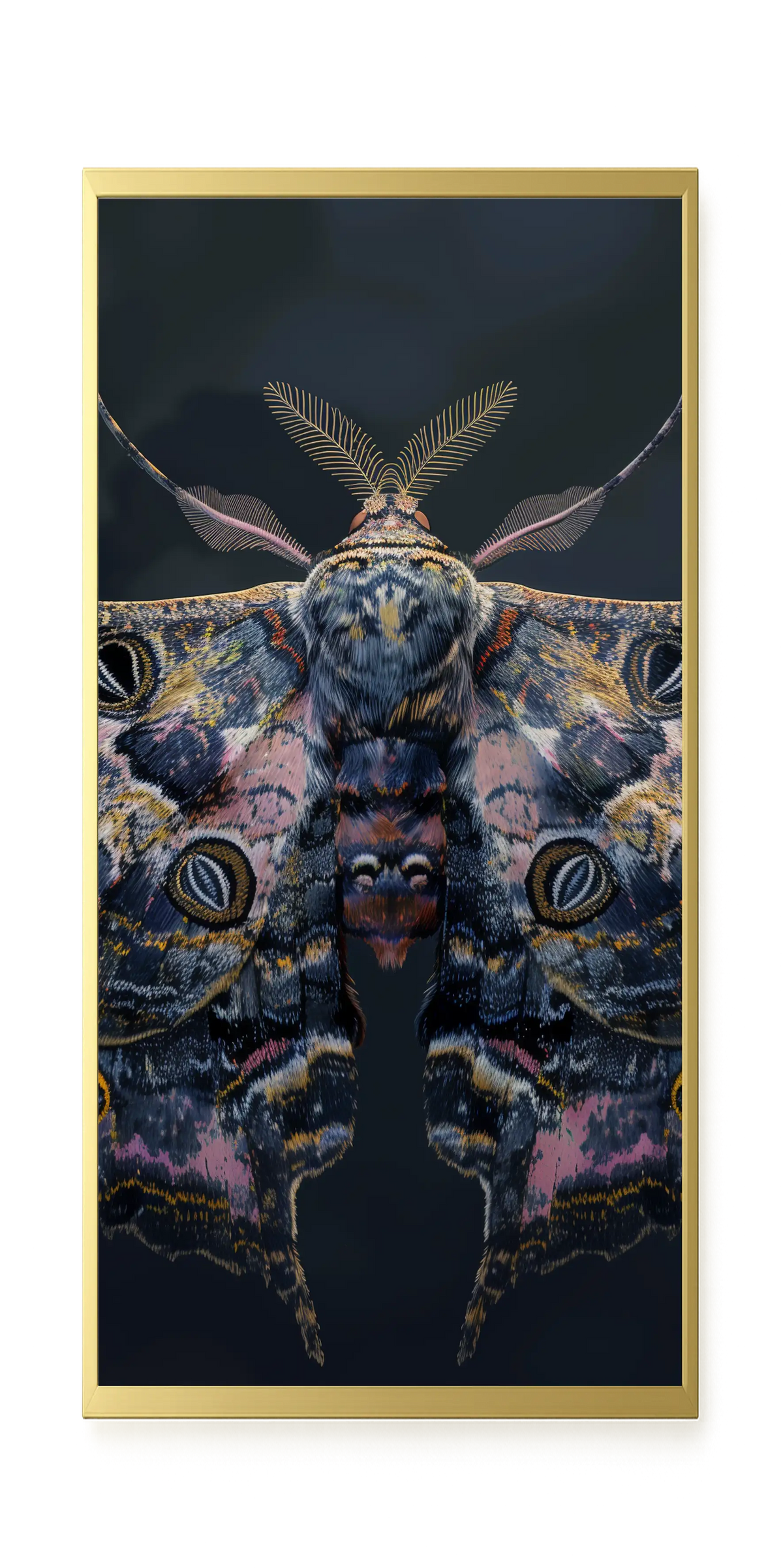 Night Moth Canvas Wall Art