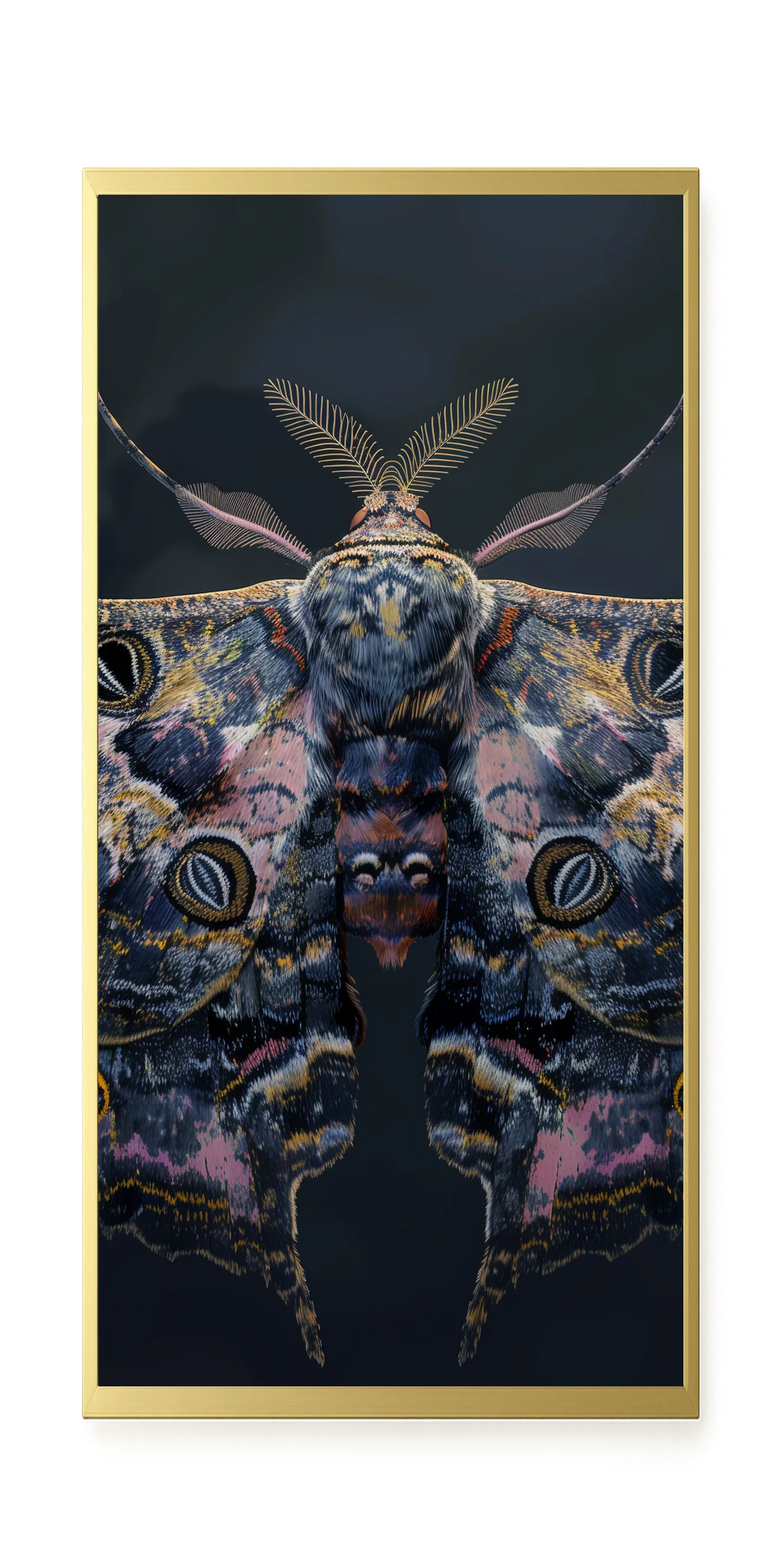 Night Moth Canvas Wall Art