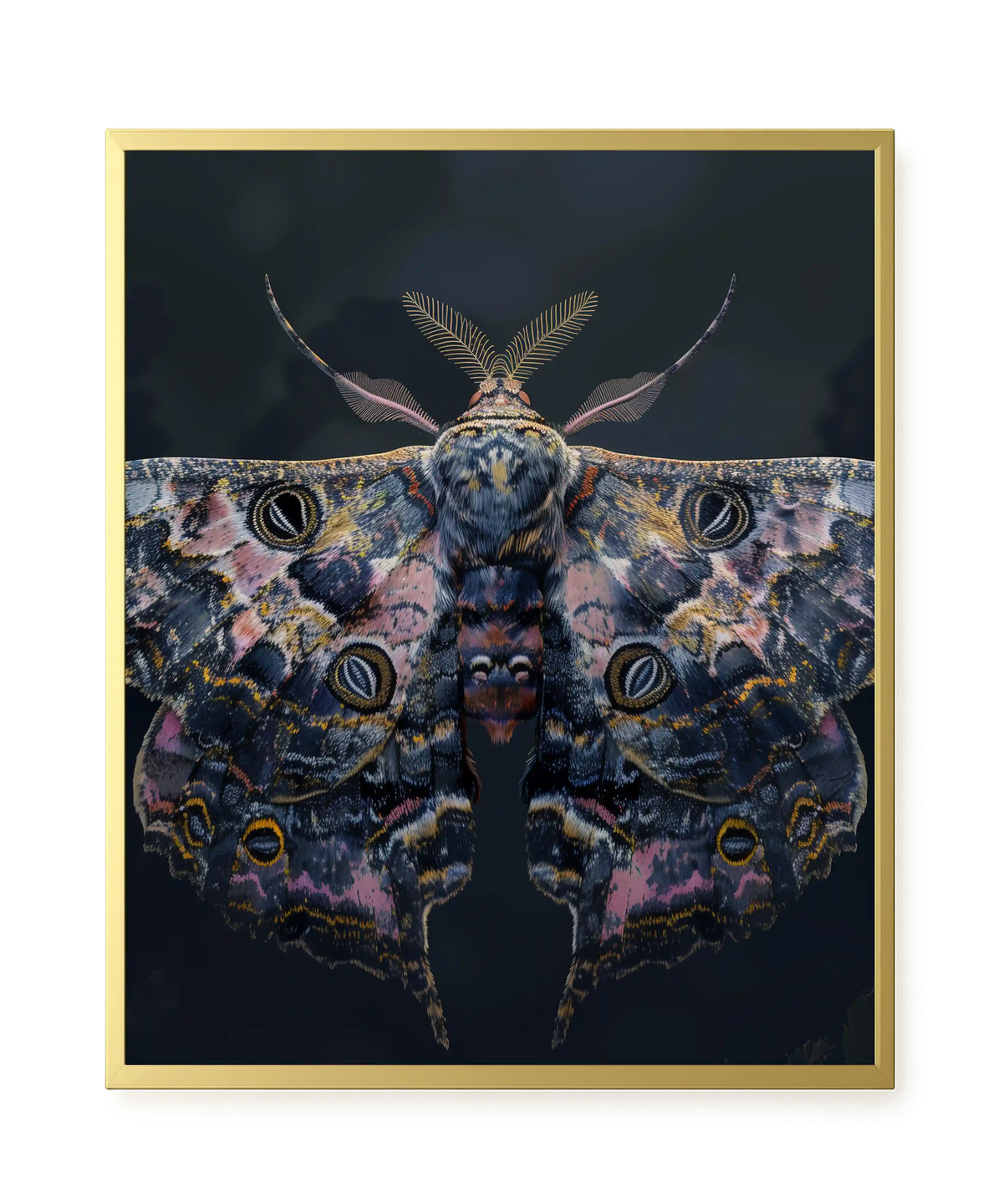 Night Moth Canvas Wall Art