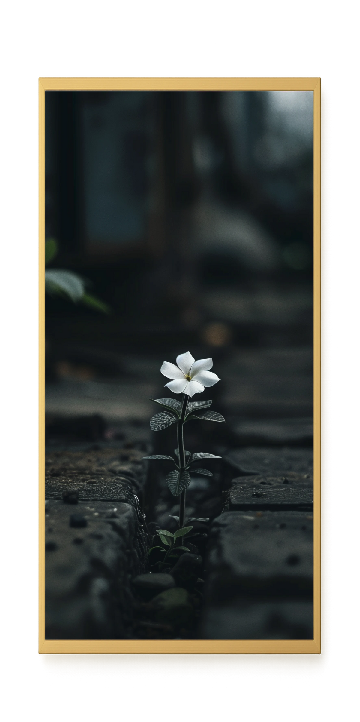 Still Leaves Canvas Print