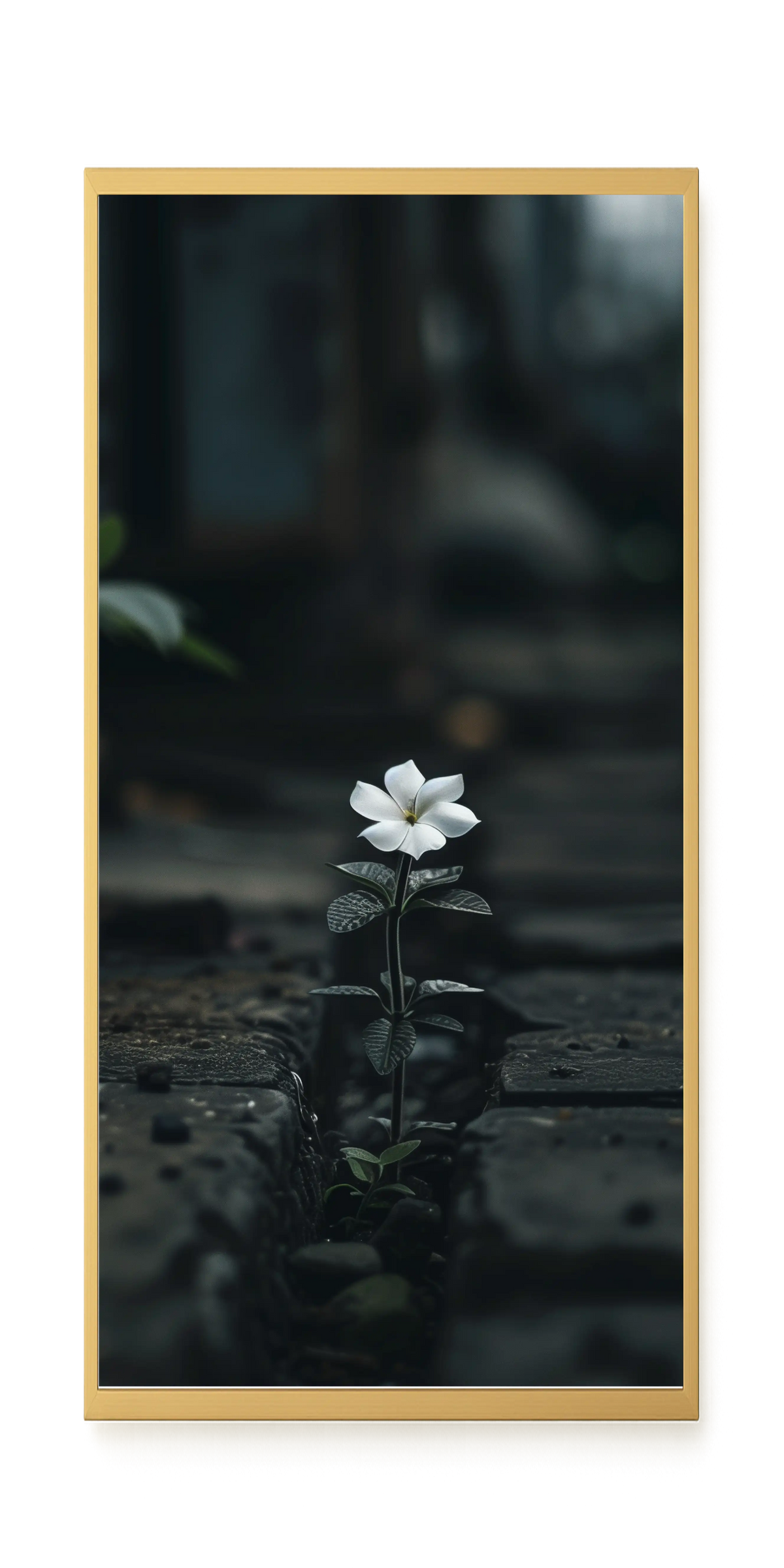 Still Leaves Canvas Print