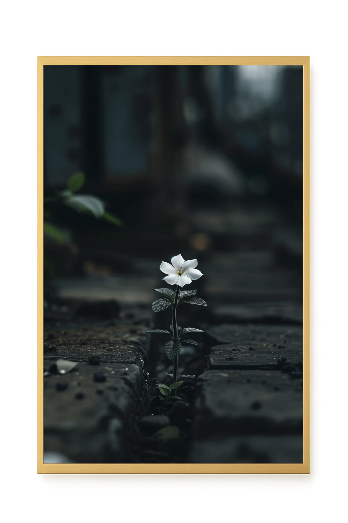 Still Leaves Canvas Print