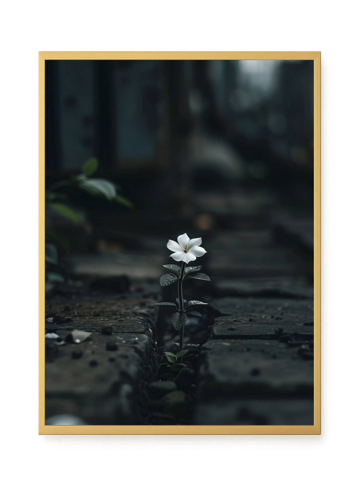 Still Leaves Canvas Print