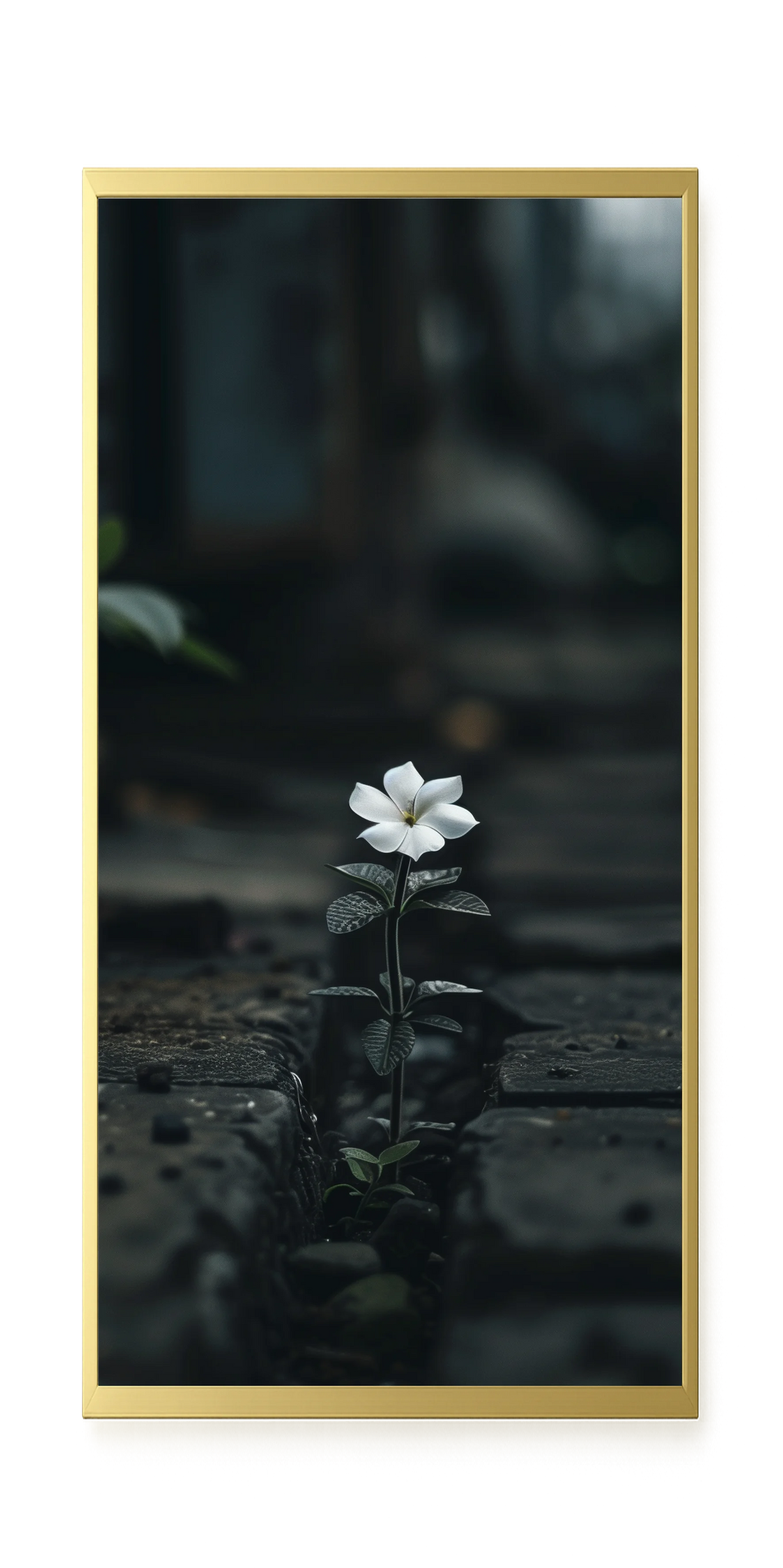 Still Leaves Canvas Print
