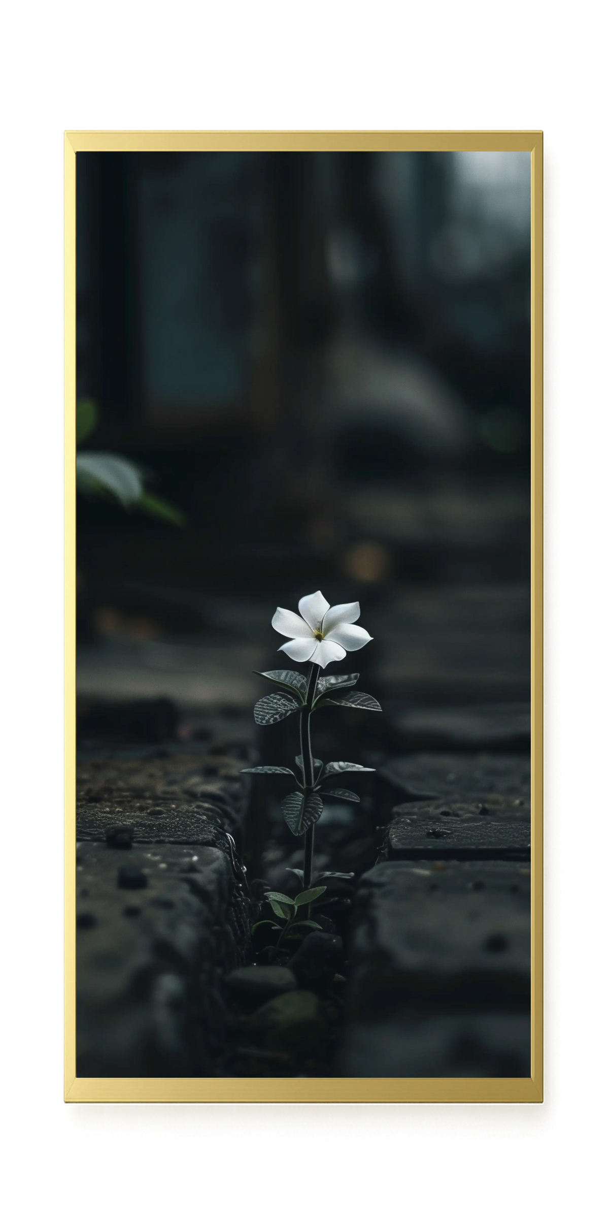Still Leaves Canvas Print
