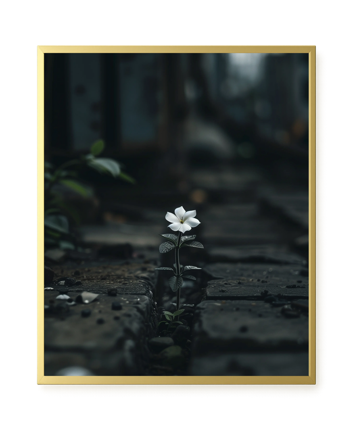Still Leaves Canvas Print