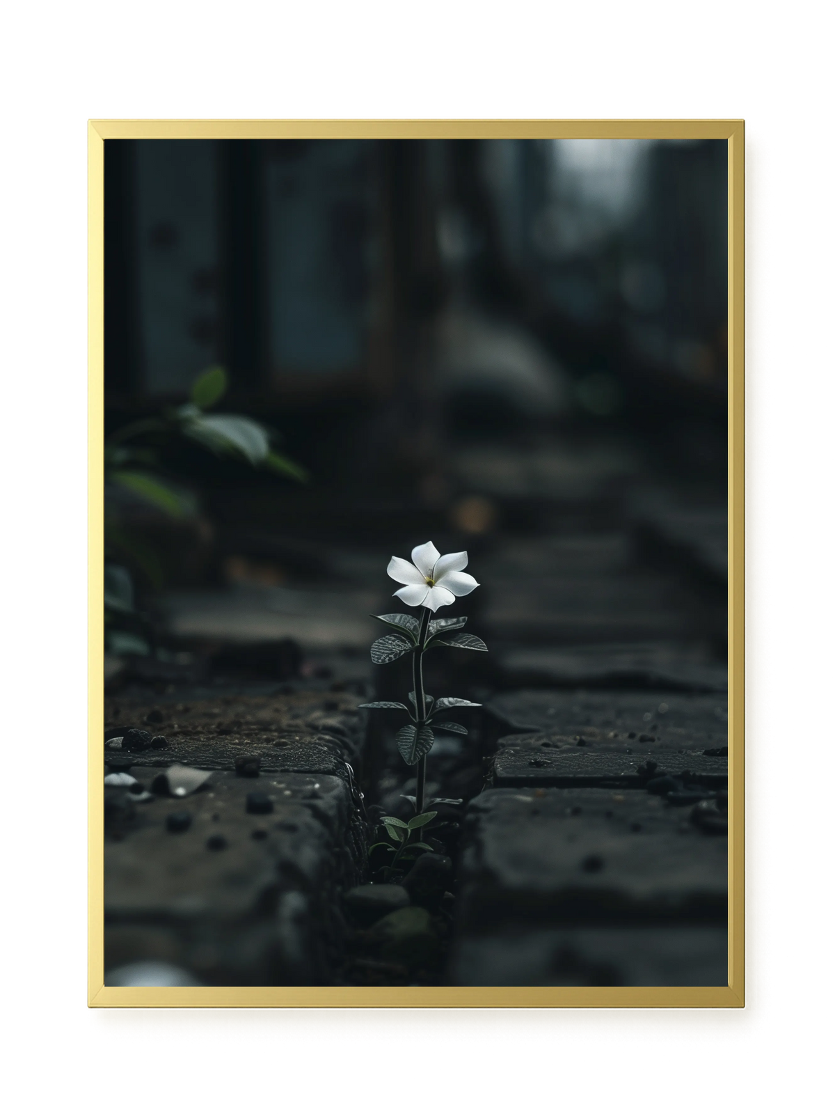Still Leaves Canvas Print