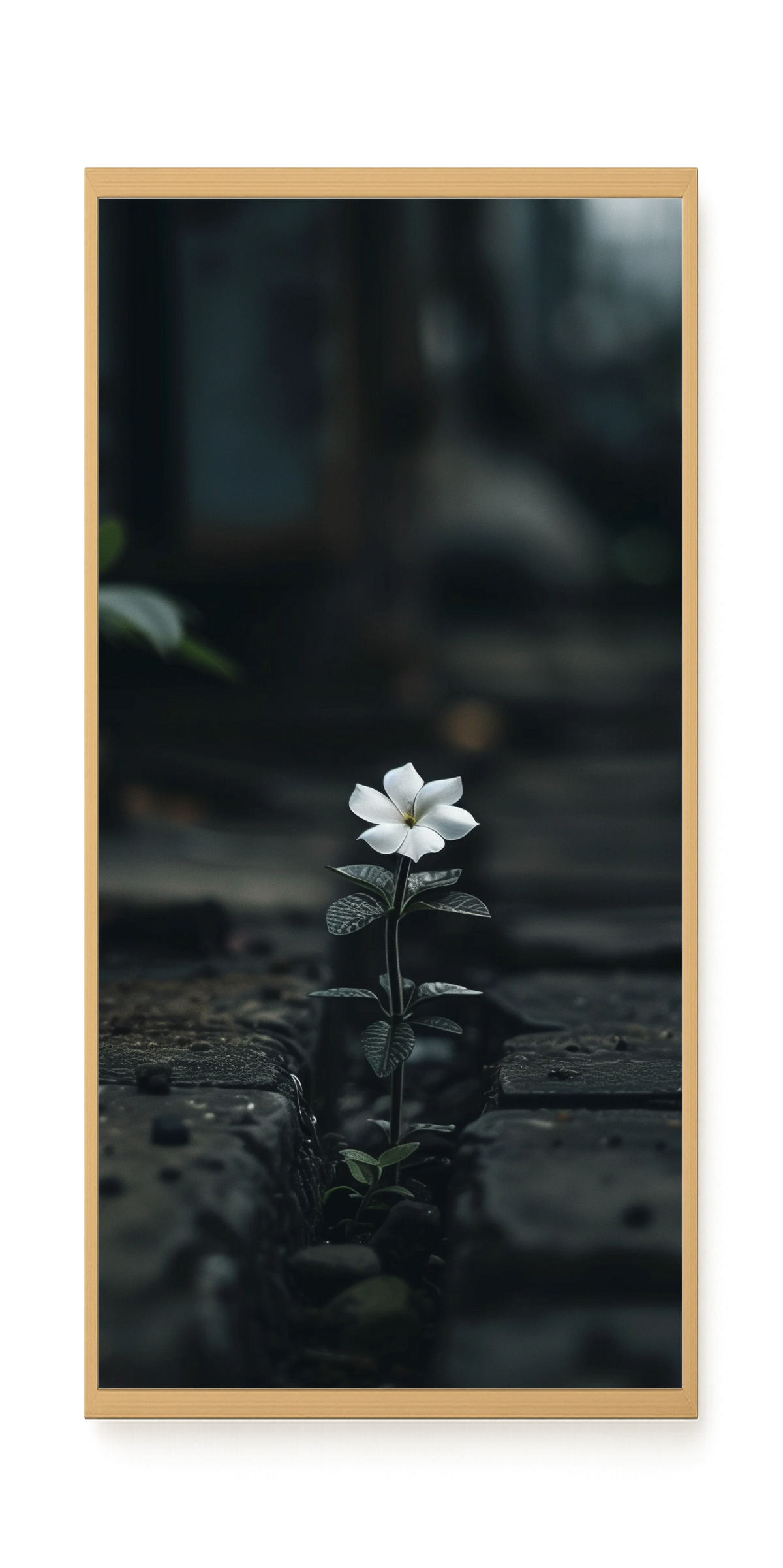 Still Leaves Canvas Print