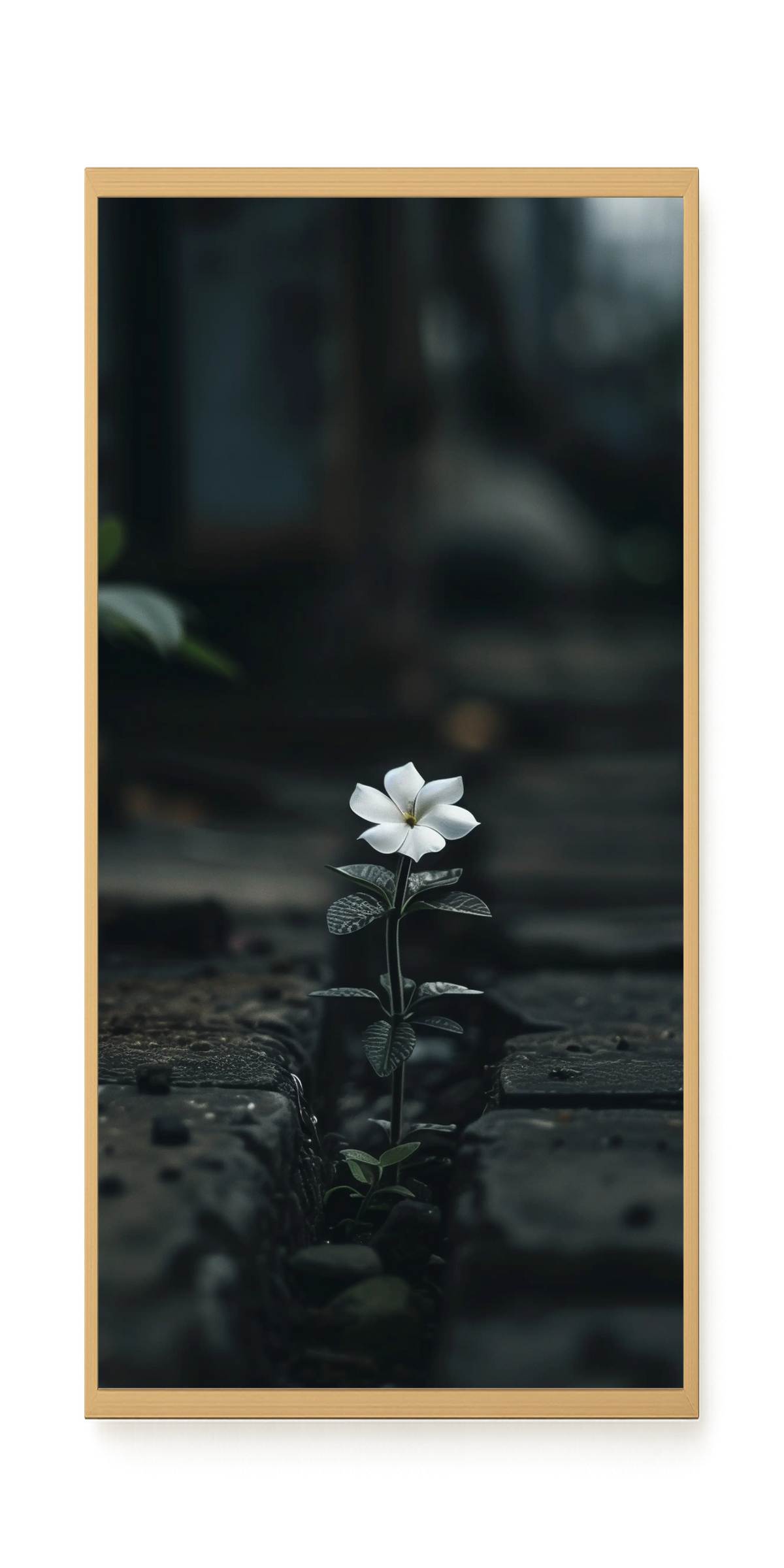 Still Leaves Canvas Print