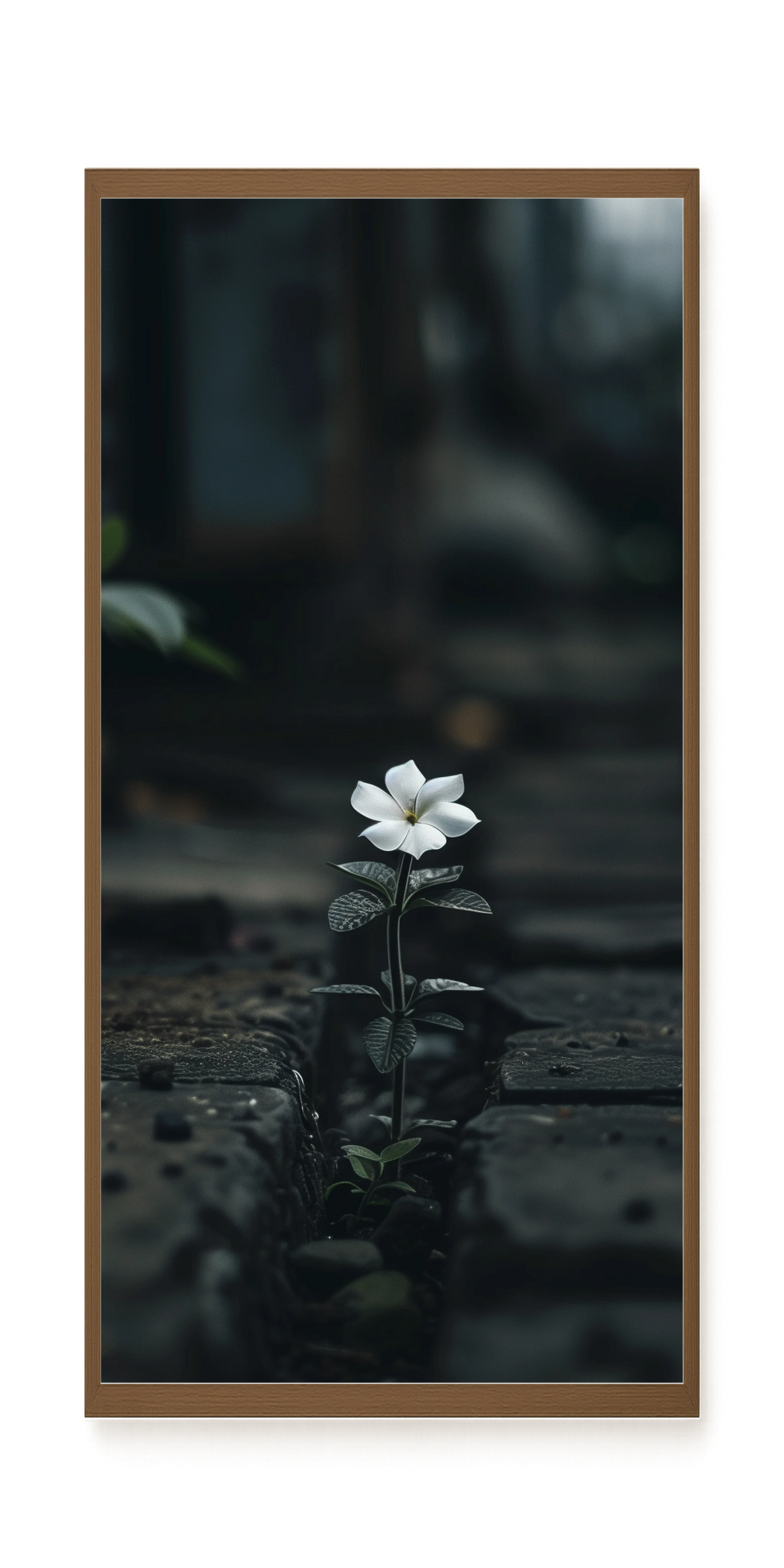 Still Leaves Canvas Print
