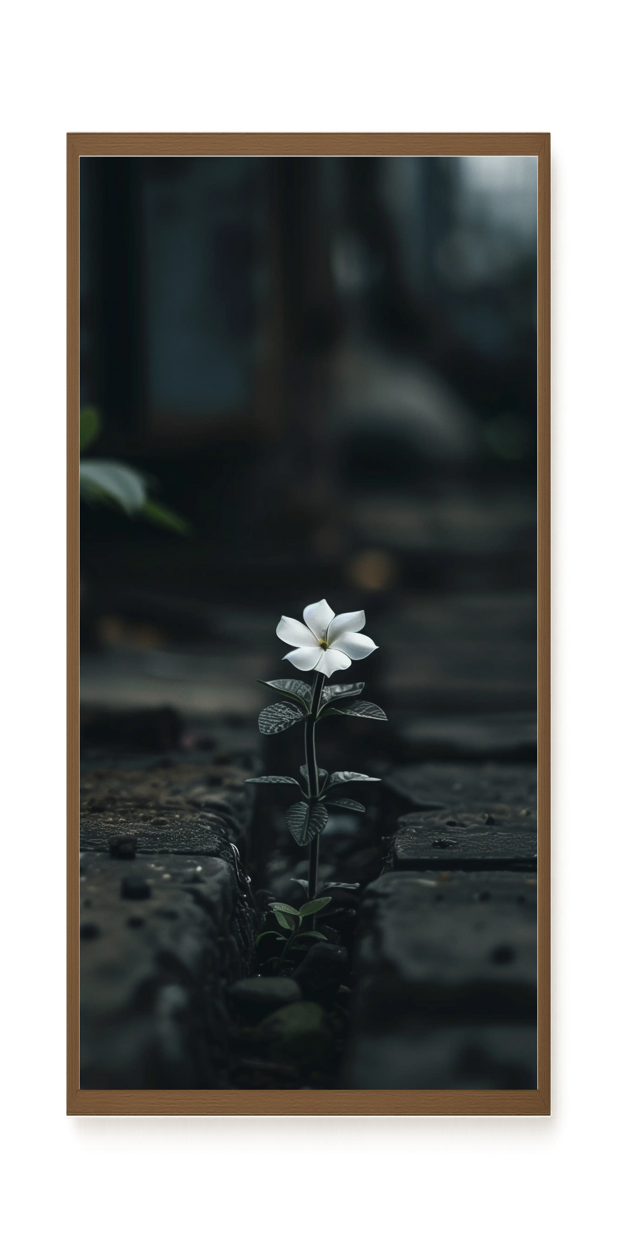 Still Leaves Canvas Print