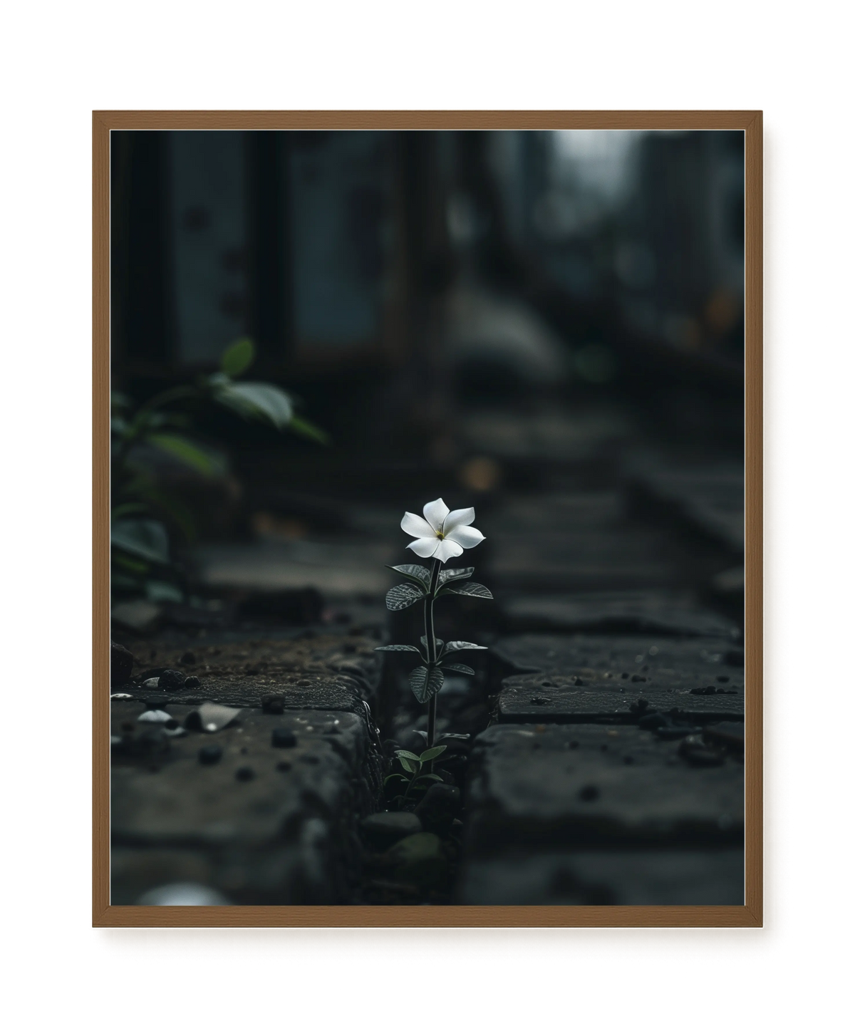 Still Leaves Canvas Print