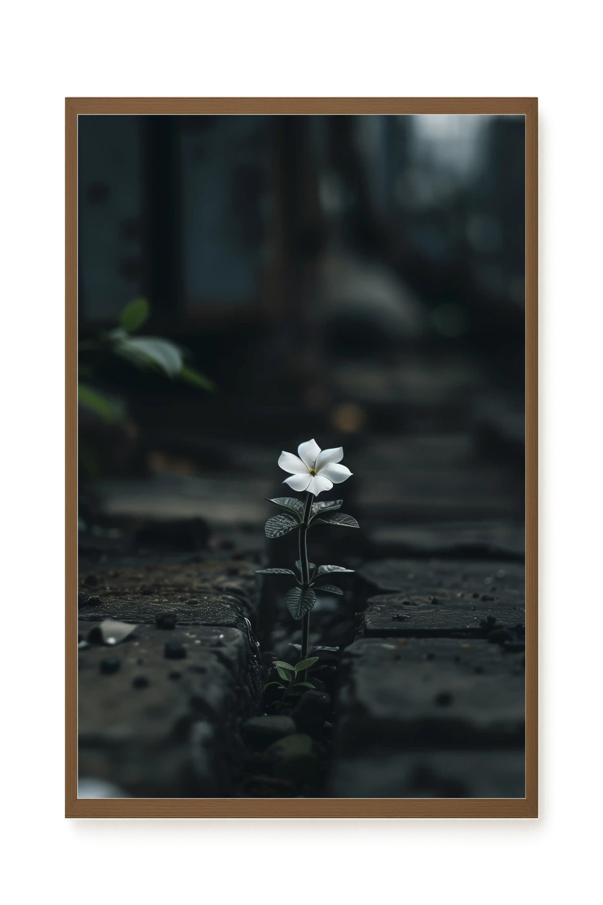 Still Leaves Canvas Print
