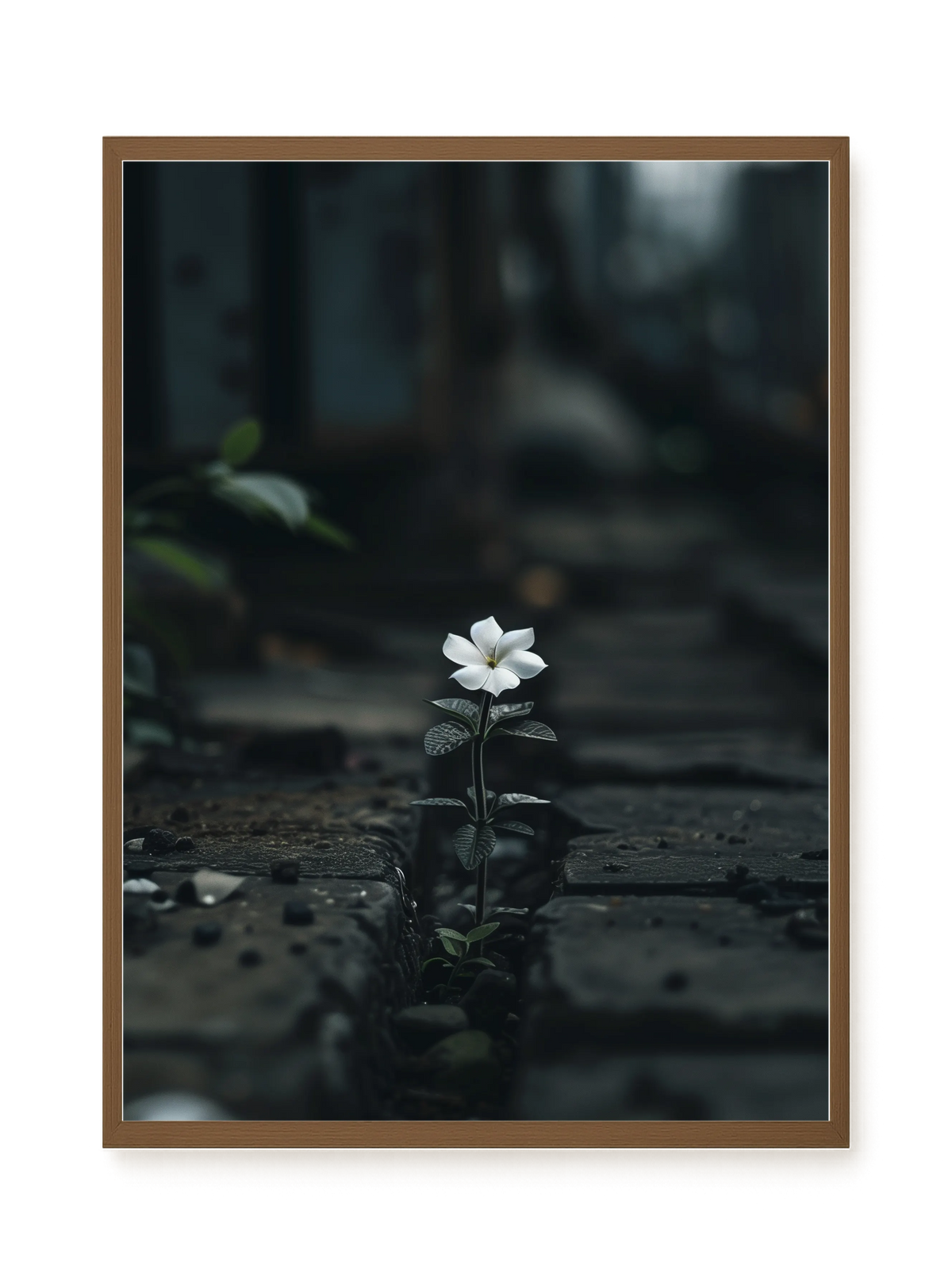 Still Leaves Canvas Print