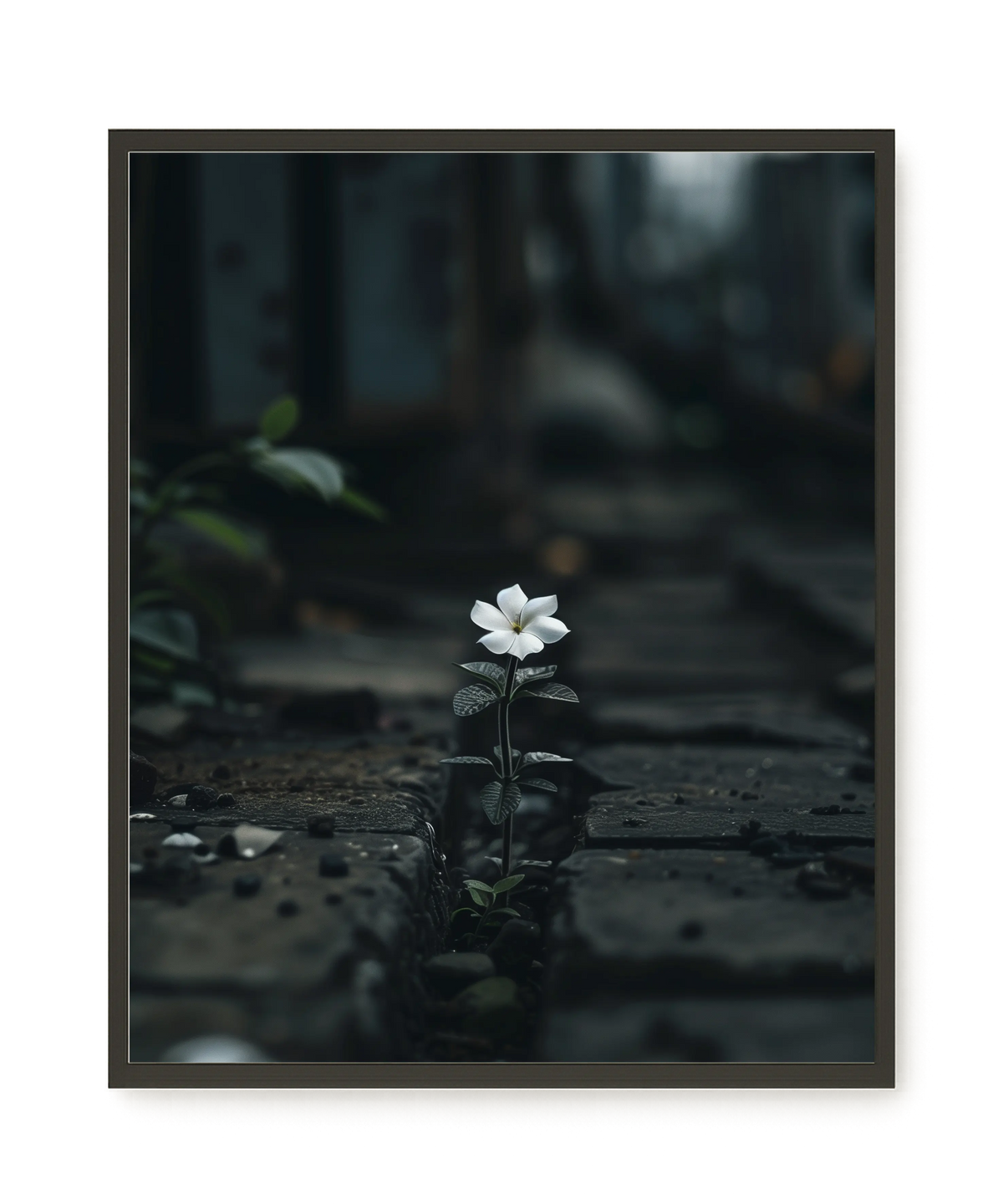 Still Leaves Canvas Print